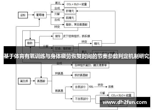 基于体育有氧训练与身体疲劳恢复时间的节奏参数判定机制研究